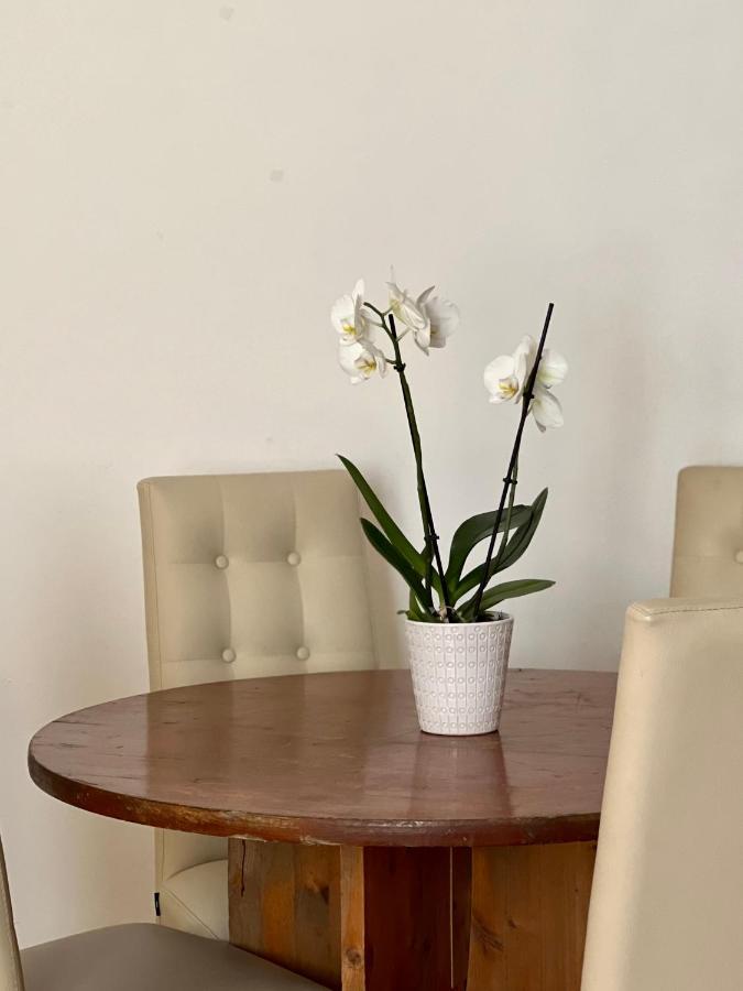 Novi Ligure Private Apartment Bagian luar foto